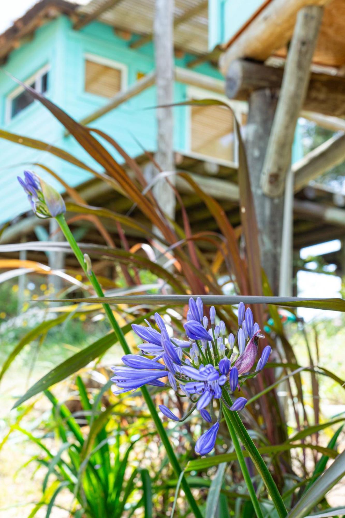 Cabana Petit Punta Del Diablo Ngoại thất bức ảnh