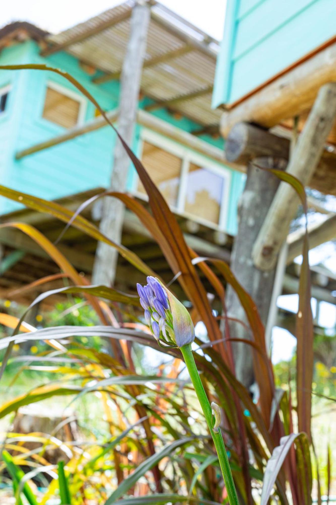 Cabana Petit Punta Del Diablo Ngoại thất bức ảnh